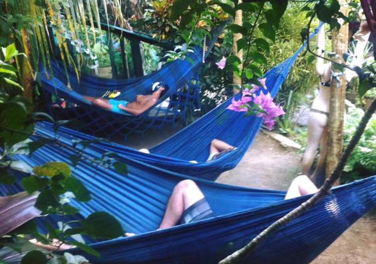 Bananas Hostel Itacaré Eksteriør billede